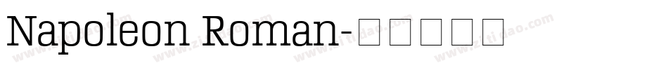 Napoleon Roman字体转换